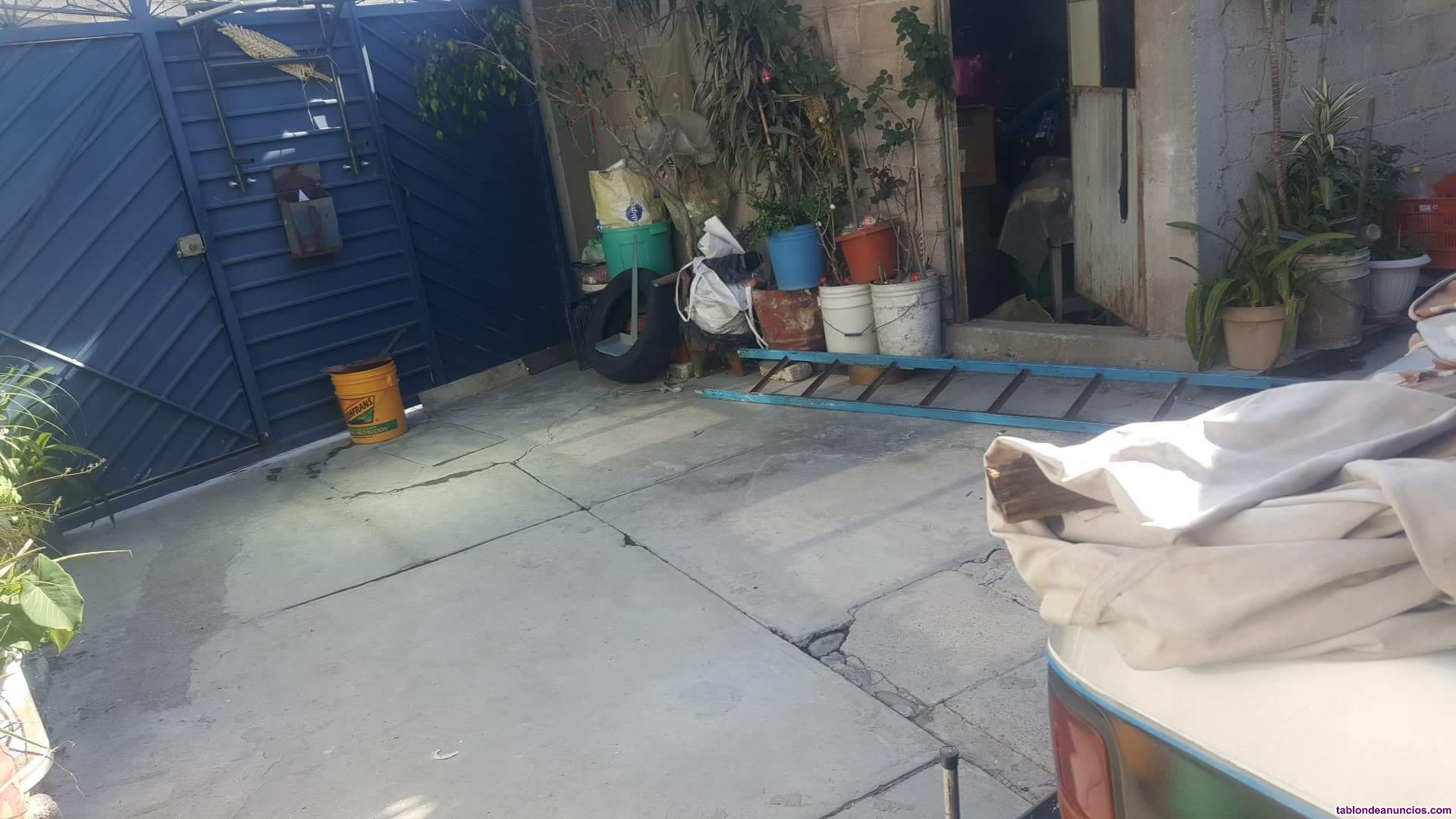 Guardera de perros/ cuidador de perros