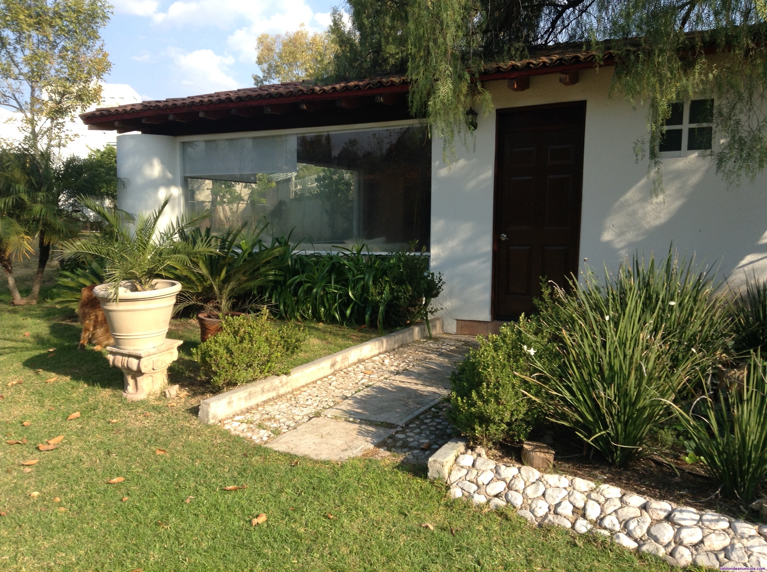 Renta de loft para ejecutivos o estudiantes