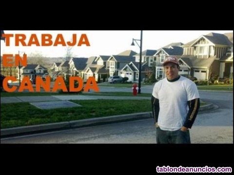 Se solicita personal para trabajar en canad 