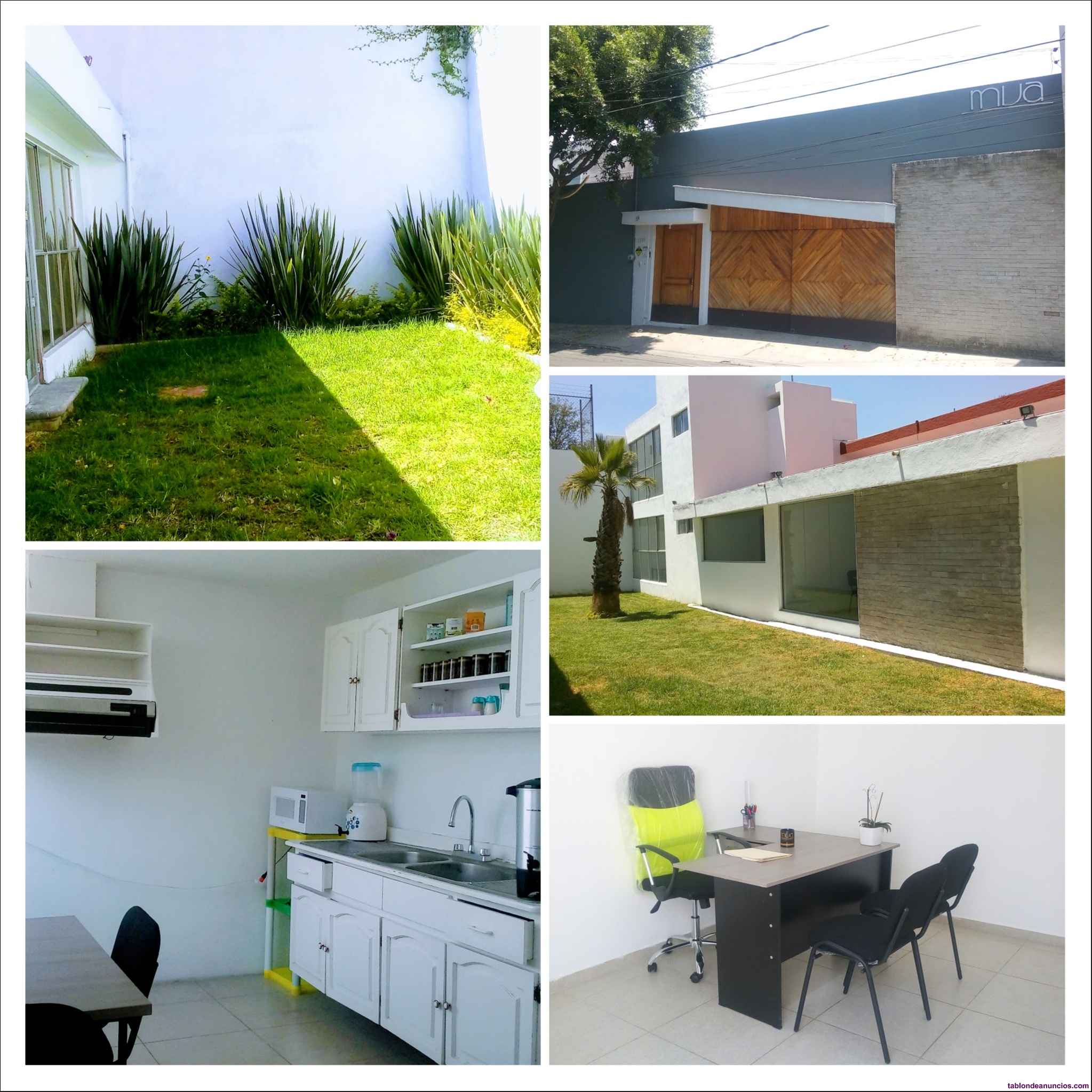 Tu empresa en la av. Juarez 