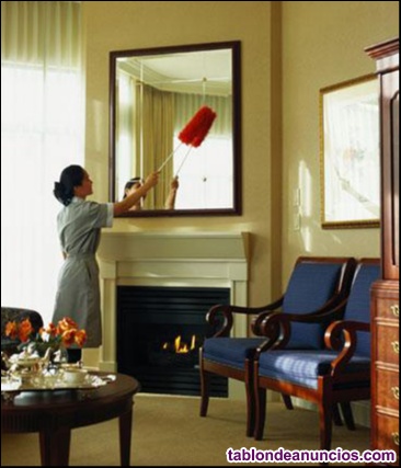 Cuidadora agencia domestica servicio domestico niera cocinera sirvienta nana 