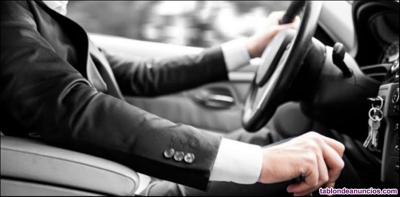 Soy chofer/asistente personal mozo