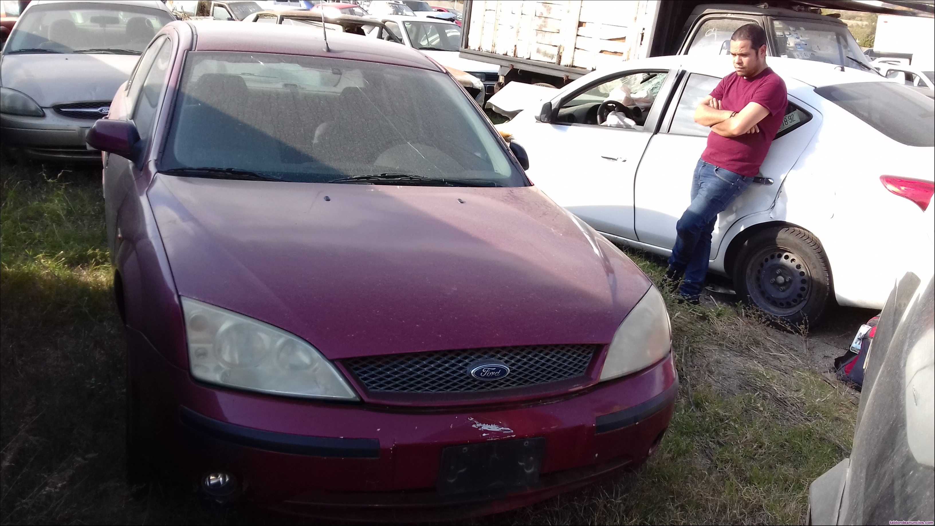 Remato mondeo en coralon